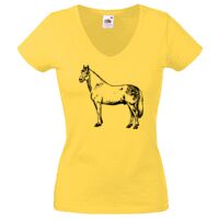 Lady-fit Valueweight V-Neck T-Shirt Thumbnail