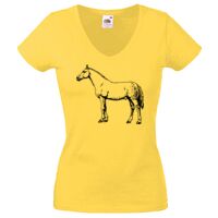 Lady-fit Valueweight V-Neck T-Shirt Thumbnail
