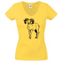 Lady-fit Valueweight V-Neck T-Shirt Thumbnail