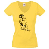 Lady-fit Valueweight V-Neck T-Shirt Thumbnail