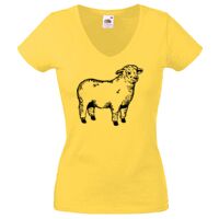 Lady-fit Valueweight V-Neck T-Shirt Thumbnail