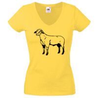 Lady-fit Valueweight V-Neck T-Shirt Thumbnail