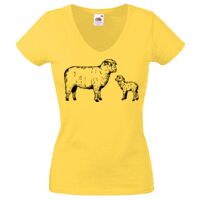 Lady-fit Valueweight V-Neck T-Shirt Thumbnail