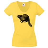 Lady-fit Valueweight V-Neck T-Shirt Thumbnail