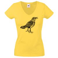 Lady-fit Valueweight V-Neck T-Shirt Thumbnail