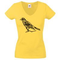 Lady-fit Valueweight V-Neck T-Shirt Thumbnail