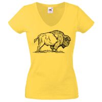 Lady-fit Valueweight V-Neck T-Shirt Thumbnail