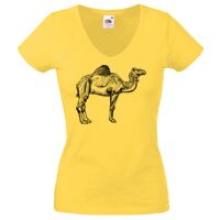 Lady-fit Valueweight V-Neck T-Shirt Thumbnail