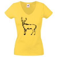 Lady-fit Valueweight V-Neck T-Shirt Thumbnail