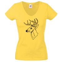 Lady-fit Valueweight V-Neck T-Shirt Thumbnail
