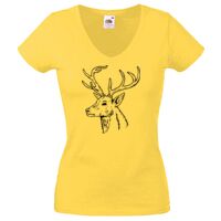Lady-fit Valueweight V-Neck T-Shirt Thumbnail