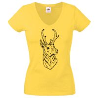 Lady-fit Valueweight V-Neck T-Shirt Thumbnail
