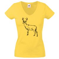 Lady-fit Valueweight V-Neck T-Shirt Thumbnail