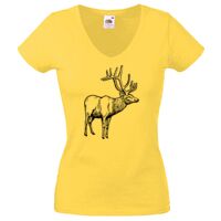 Lady-fit Valueweight V-Neck T-Shirt Thumbnail