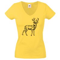 Lady-fit Valueweight V-Neck T-Shirt Thumbnail
