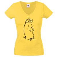 Lady-fit Valueweight V-Neck T-Shirt Thumbnail