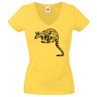 Lady-fit Valueweight V-Neck T-Shirt Thumbnail