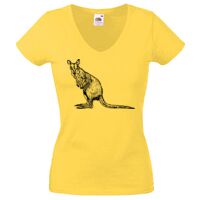 Lady-fit Valueweight V-Neck T-Shirt Thumbnail