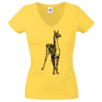 Lady-fit Valueweight V-Neck T-Shirt Thumbnail