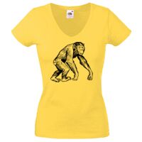 Lady-fit Valueweight V-Neck T-Shirt Thumbnail