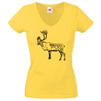 Lady-fit Valueweight V-Neck T-Shirt Thumbnail