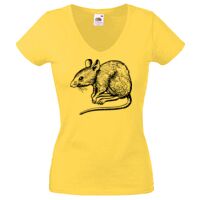 Lady-fit Valueweight V-Neck T-Shirt Thumbnail