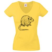 Lady-fit Valueweight V-Neck T-Shirt Thumbnail