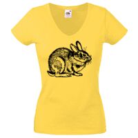 Lady-fit Valueweight V-Neck T-Shirt Thumbnail