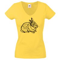 Lady-fit Valueweight V-Neck T-Shirt Thumbnail