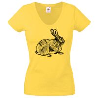 Lady-fit Valueweight V-Neck T-Shirt Thumbnail