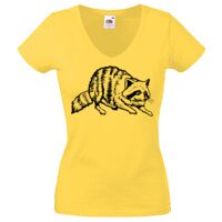 Lady-fit Valueweight V-Neck T-Shirt Thumbnail