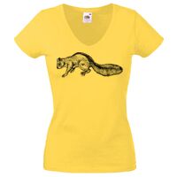Lady-fit Valueweight V-Neck T-Shirt Thumbnail