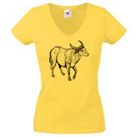 Lady-fit Valueweight V-Neck T-Shirt Thumbnail