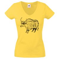Lady-fit Valueweight V-Neck T-Shirt Thumbnail