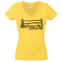 Lady-fit Valueweight V-Neck T-Shirt Thumbnail