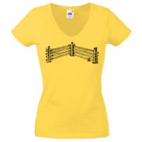 Lady-fit Valueweight V-Neck T-Shirt Thumbnail