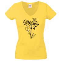 Lady-fit Valueweight V-Neck T-Shirt Thumbnail