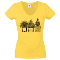 Lady-fit Valueweight V-Neck T-Shirt Thumbnail